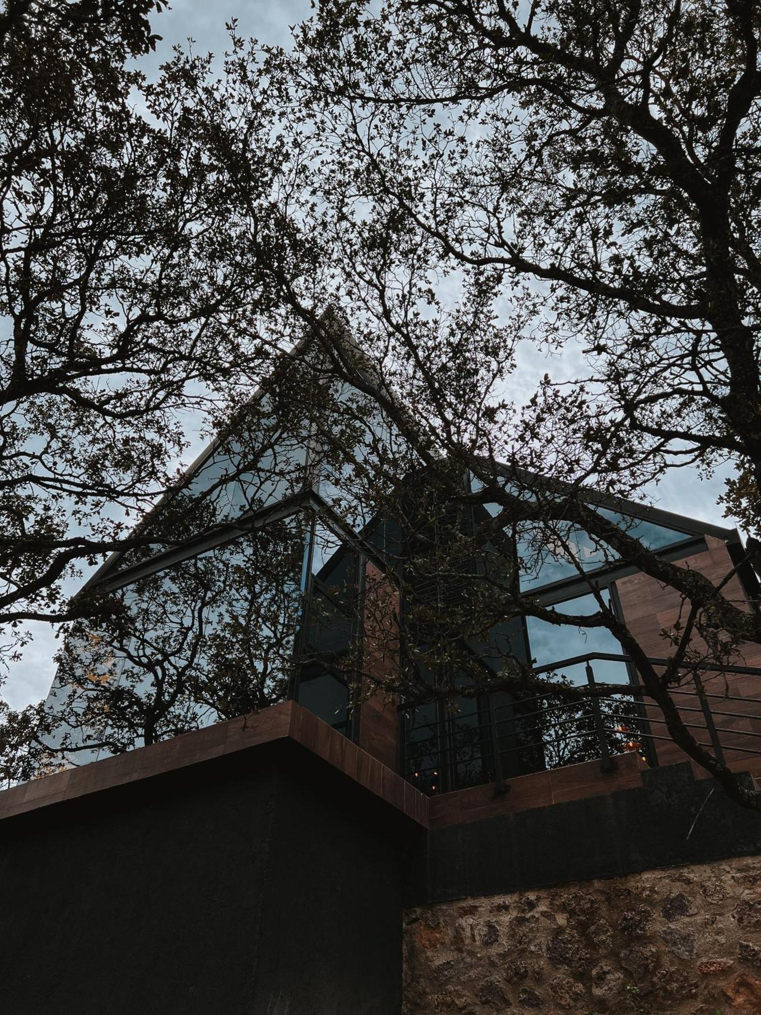 La Foret Cabanas Boutique Leon Ngoại thất bức ảnh